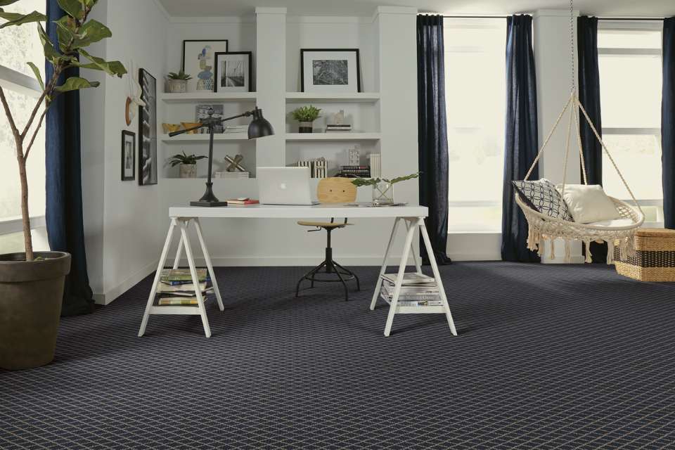 dark blue patterned carpet in home office living area with shelving and plants